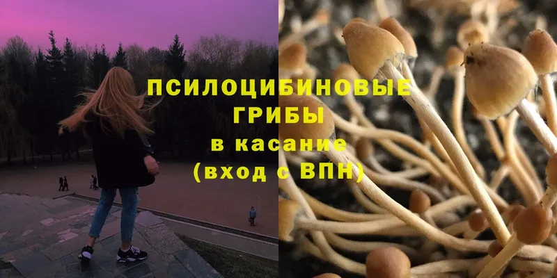 Галлюциногенные грибы MAGIC MUSHROOMS  Мирный 